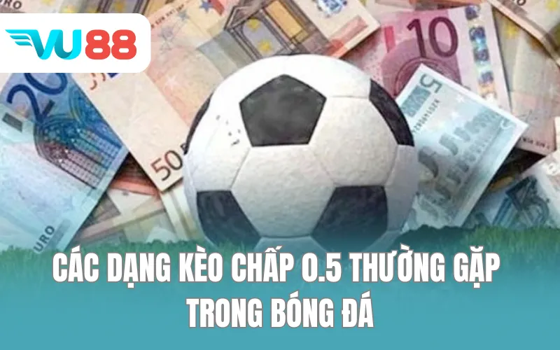 Các dạng kèo chấp 0.5 thường gặp trong bóng đá