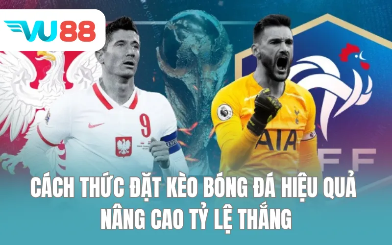 Cách thức đặt kèo bóng đá hiệu quả, nâng cao tỷ lệ thắng